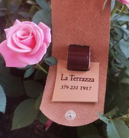 B&B La Terrazza Домодоссола Экстерьер фото